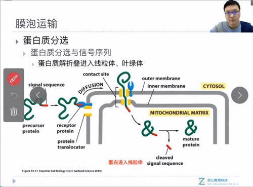 生物竞赛生化细胞百度网盘（质心教育2019生物竞赛生化细胞二轮秋季班矢斌老师 ）