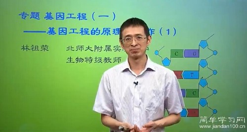 林祖荣生物百度网盘（简单学习网高二生物同步选修三）