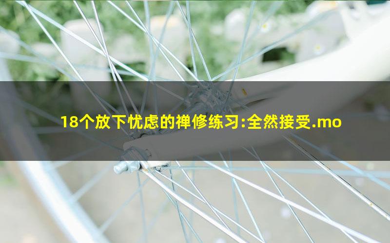 18个放下忧虑的禅修练习:全然接受.mobi