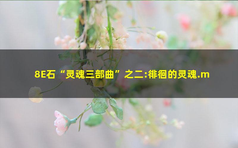 8E石“灵魂三部曲”之二:徘徊的灵魂.mobi