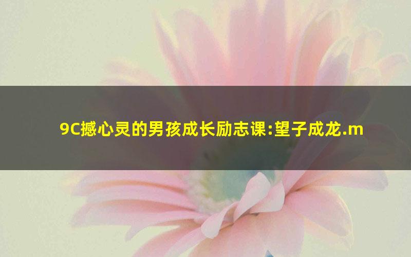 9C撼心灵的男孩成长励志课:望子成龙.mobi