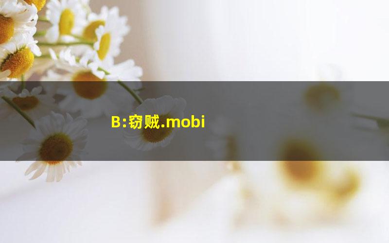 B:窃贼.mobi
