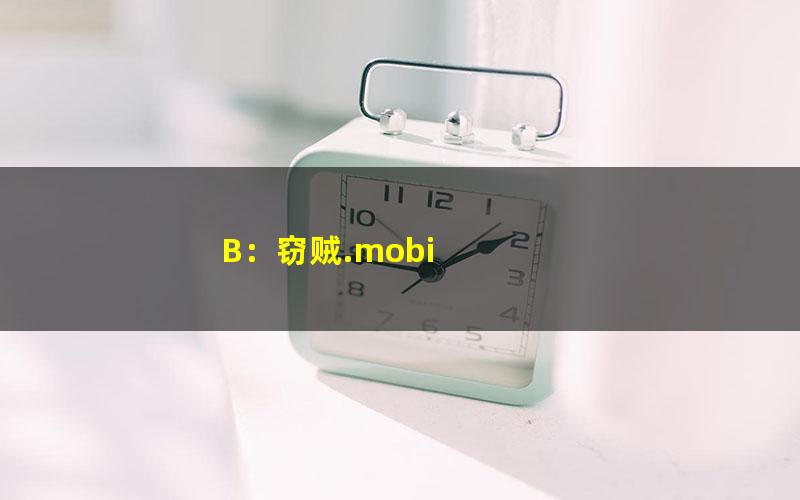 B：窃贼.mobi