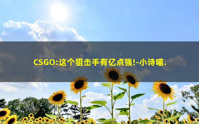 CSGO:这个狙击手有亿点强!-小诗喵.txt