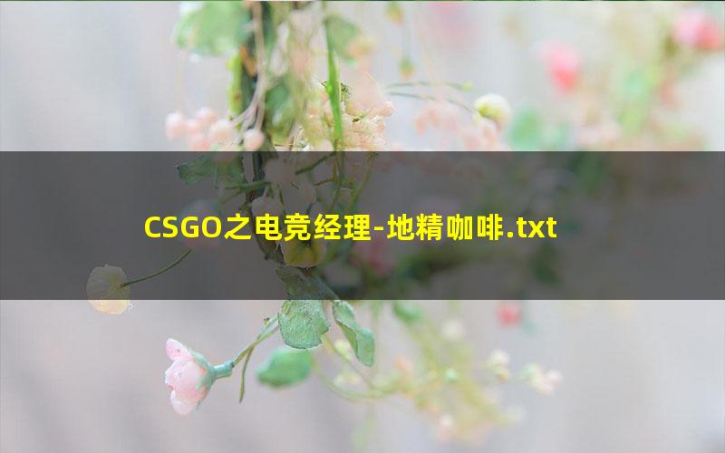CSGO之电竞经理-地精咖啡.txt