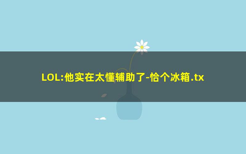 LOL:他实在太懂辅助了-恰个冰箱.txt