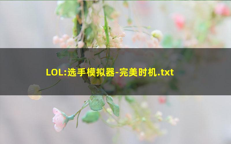 LOL:选手模拟器-完美时机.txt