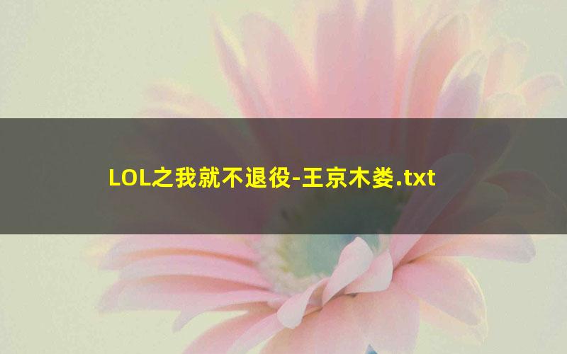 LOL之我就不退役-王京木娄.txt