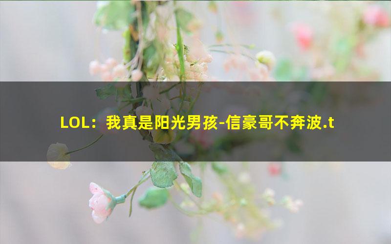 LOL：我真是阳光男孩-信豪哥不奔波.txt txt/pdf/azw3/mobi电子版百度夸克网盘下载