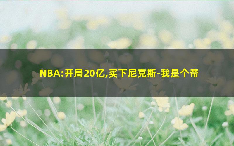 NBA:开局20亿,买下尼克斯-我是个帝帝.txt