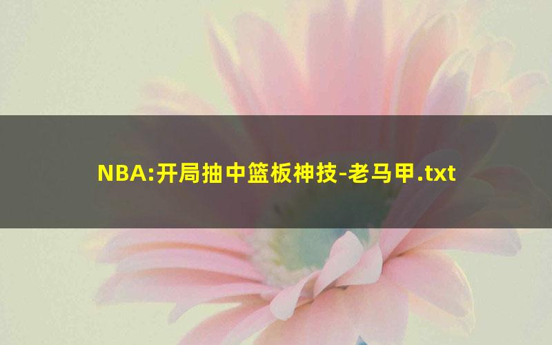 NBA:开局抽中篮板神技-老马甲.txt
