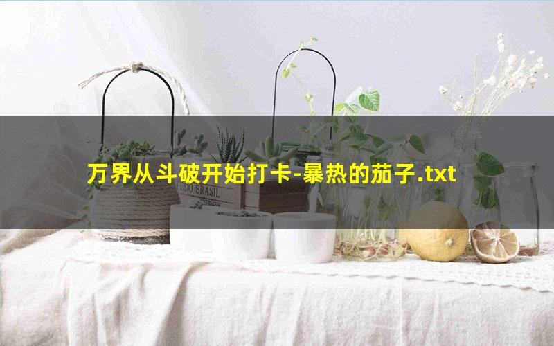 万界从斗破开始打卡-暴热的茄子.txt