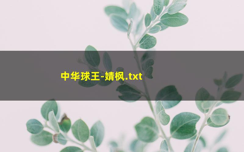 中华球王-婧枫.txt