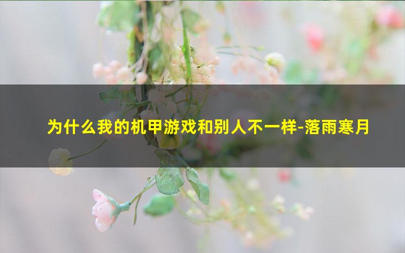 为什么我的机甲游戏和别人不一样-落雨寒月.txt