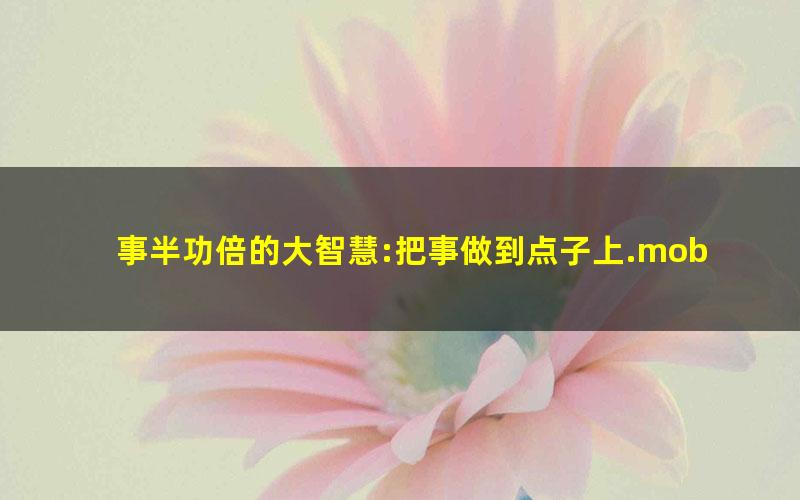 事半功倍的大智慧:把事做到点子上.mobi