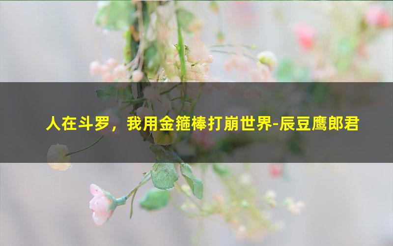 人在斗罗，我用金箍棒打崩世界-辰豆鹰郎君.txt txt/pdf/azw3/mobi电子版百度夸克网盘下载