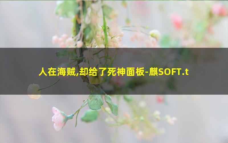 人在海贼,却给了死神面板-麒SOFT.txt