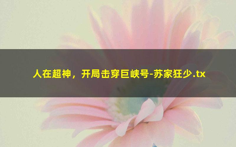 人在超神，开局击穿巨峡号-苏家狂少.txt txt/pdf/azw3/mobi电子版百度夸克网盘下载