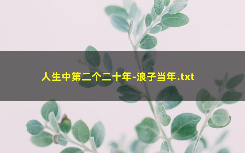 人生中第二个二十年-浪子当年.txt txt/pdf/azw3/mobi电子版百度夸克网盘下载
