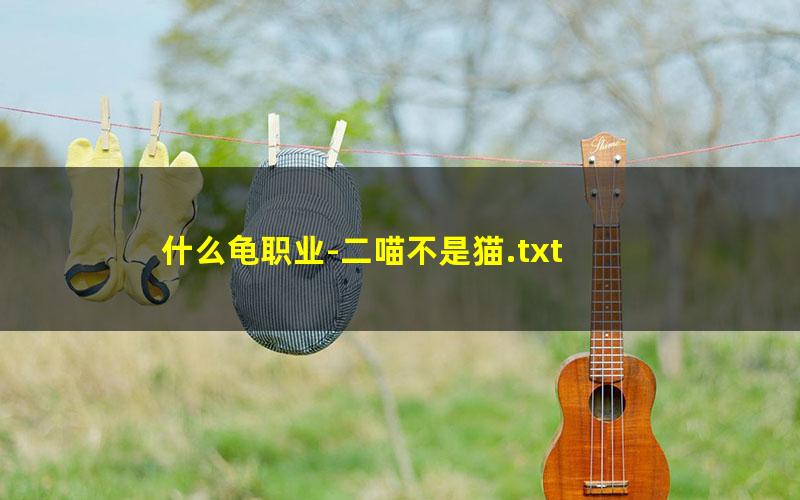 什么龟职业-二喵不是猫.txt txt/pdf/azw3/mobi电子版百度夸克网盘下载