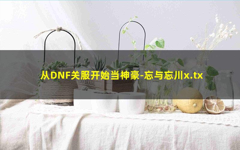 从DNF关服开始当神豪-忘与忘川x.txt