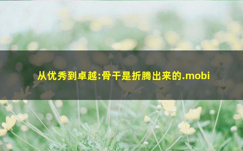 从优秀到卓越:骨干是折腾出来的.mobi