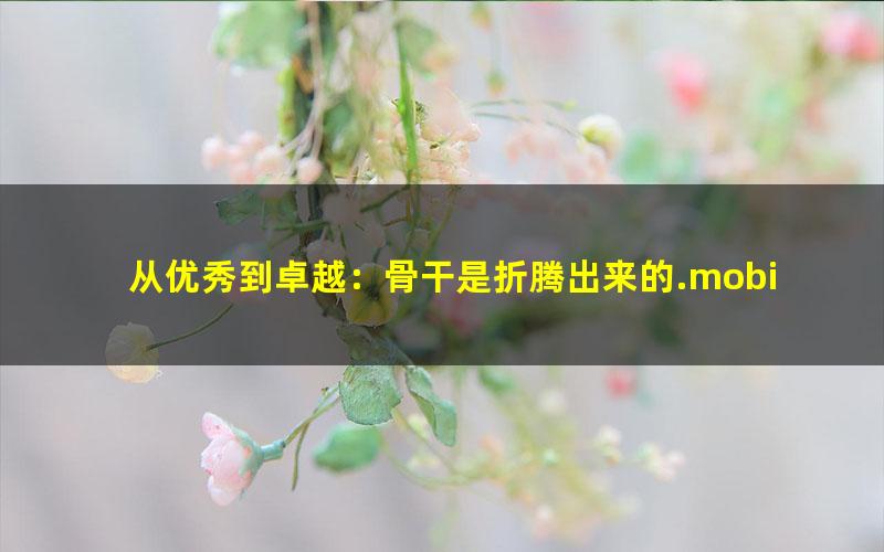 从优秀到卓越：骨干是折腾出来的.mobi