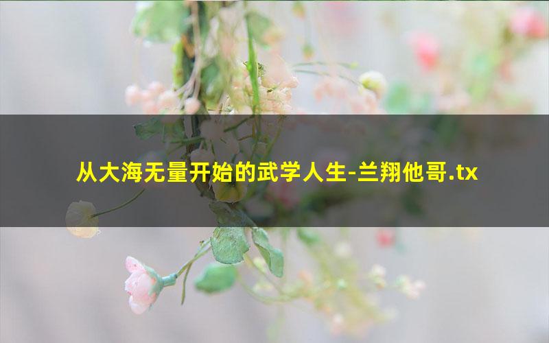 从大海无量开始的武学人生-兰翔他哥.txt