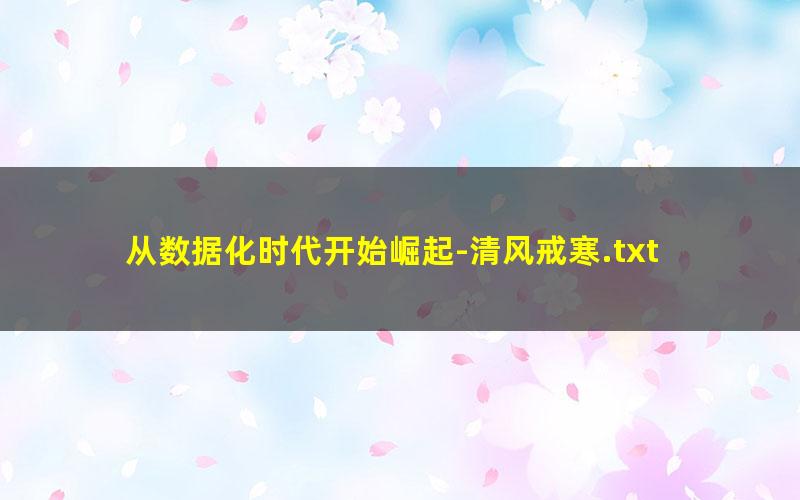 从数据化时代开始崛起-清风戒寒.txt