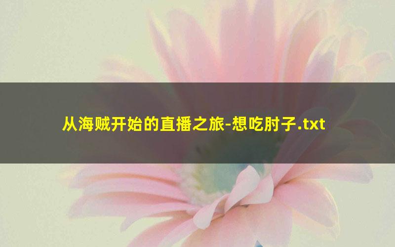 从海贼开始的直播之旅-想吃肘子.txt