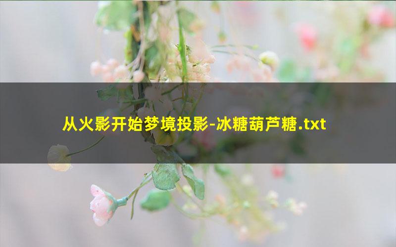 从火影开始梦境投影-冰糖葫芦糖.txt