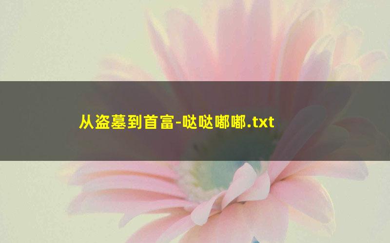 从盗墓到首富-哒哒嘟嘟.txt