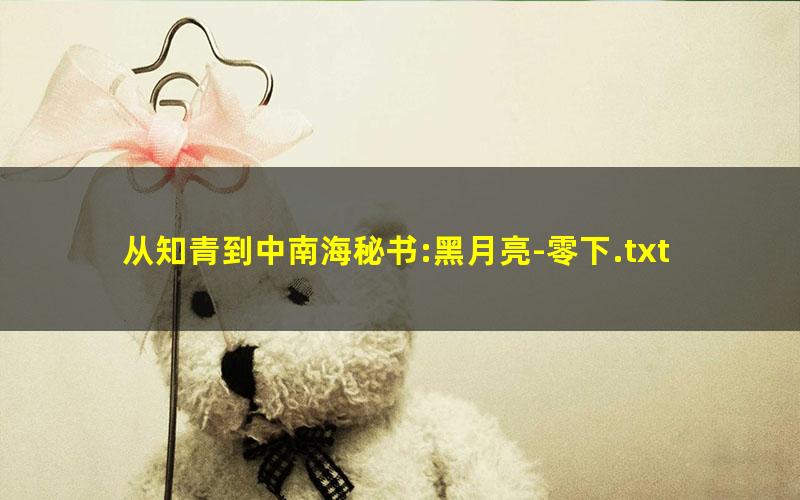 从知青到中南海秘书:黑月亮-零下.txt