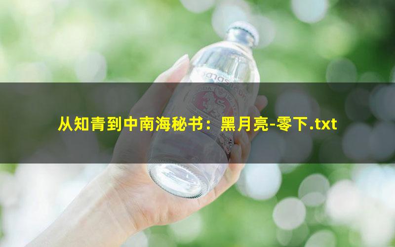 从知青到中南海秘书：黑月亮-零下.txt