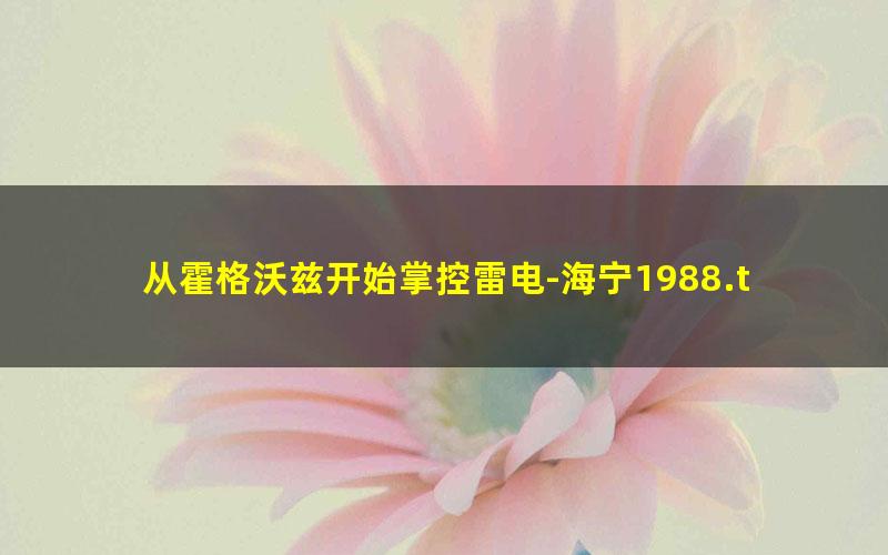 从霍格沃兹开始掌控雷电-海宁1988.txt