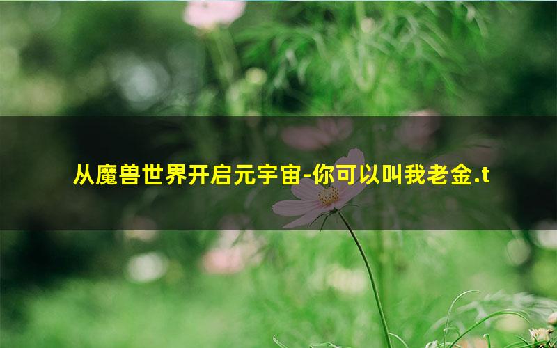 从魔兽世界开启元宇宙-你可以叫我老金.txt