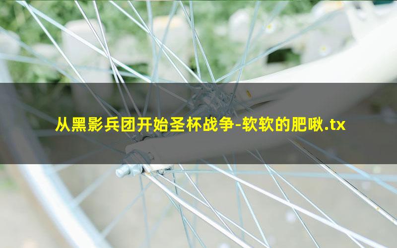 从黑影兵团开始圣杯战争-软软的肥啾.txt