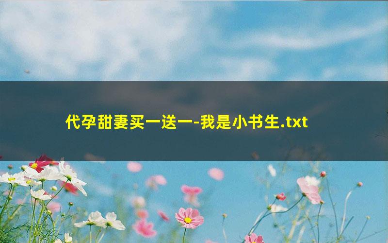 代孕甜妻买一送一-我是小书生.txt