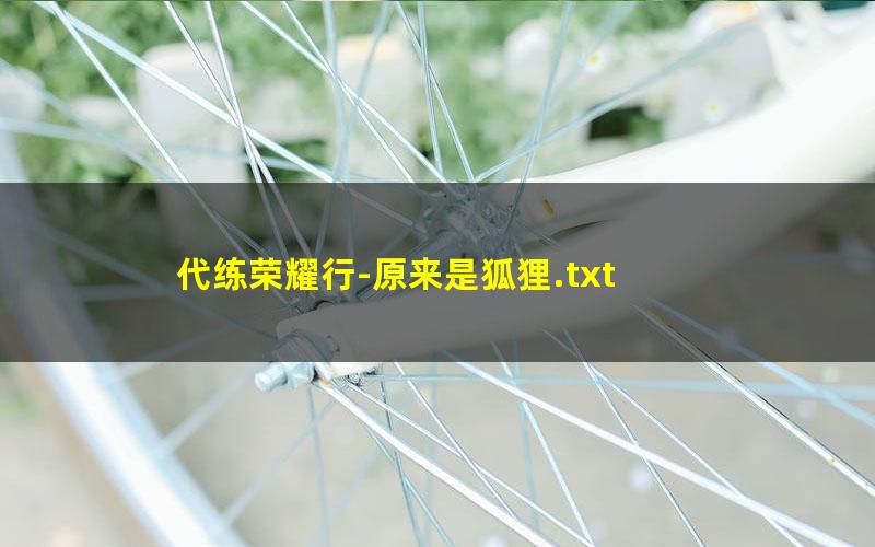 代练荣耀行-原来是狐狸.txt