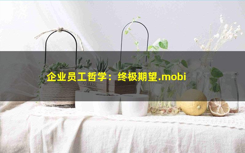企业员工哲学：终极期望.mobi