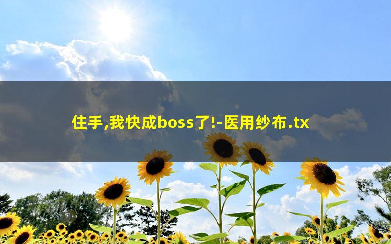 住手,我快成boss了!-医用纱布.txt