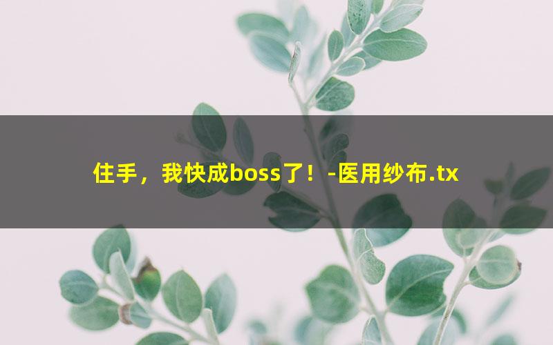 住手，我快成boss了！-医用纱布.txt