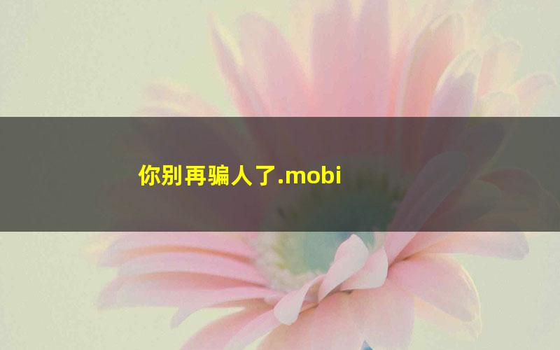 你别再骗人了.mobi