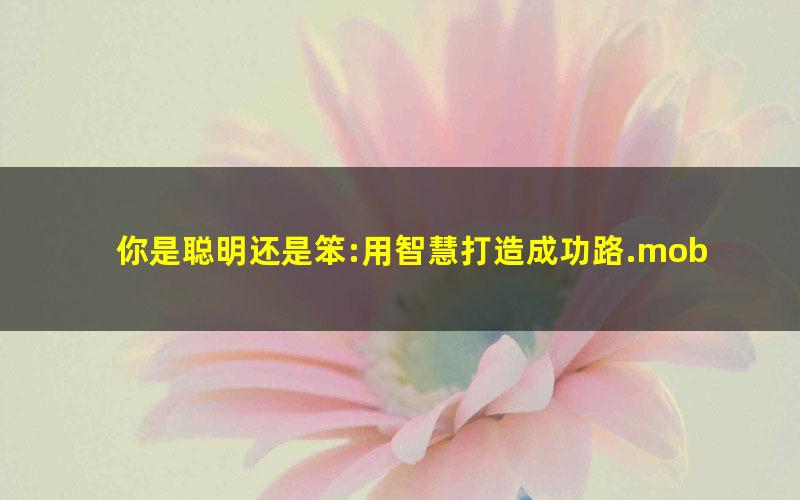 你是聪明还是笨:用智慧打造成功路.mobi