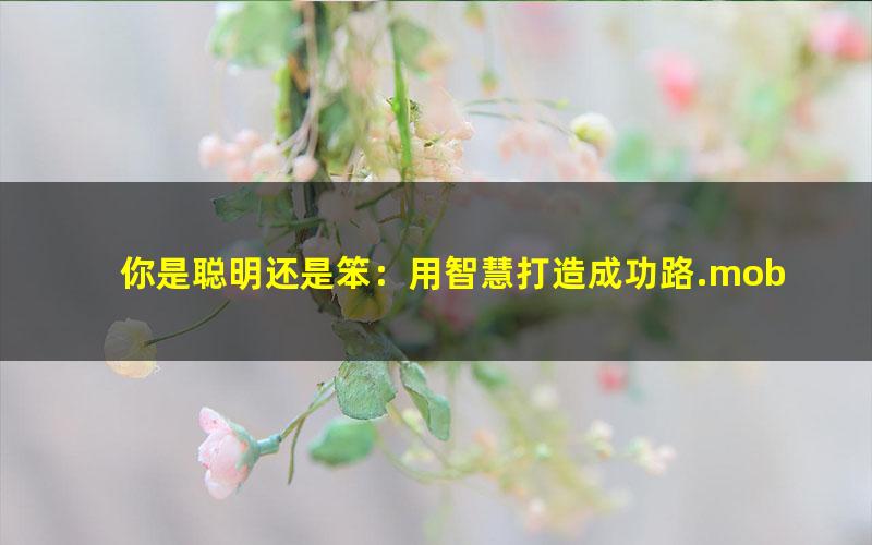 你是聪明还是笨：用智慧打造成功路.mobi