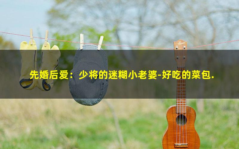 先婚后爱：少将的迷糊小老婆-好吃的菜包.txt