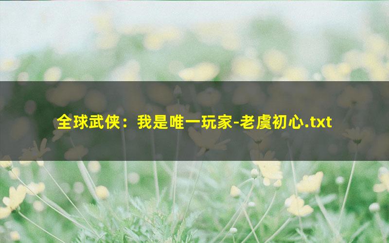 全球武侠：我是唯一玩家-老虞初心.txt