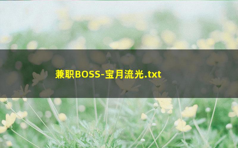 兼职BOSS-宝月流光.txt
