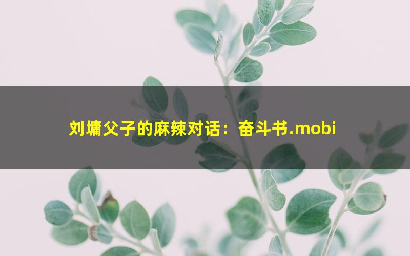 刘墉父子的麻辣对话：奋斗书.mobi