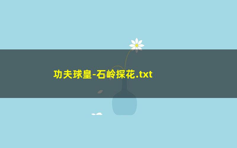 功夫球皇-石岭探花.txt